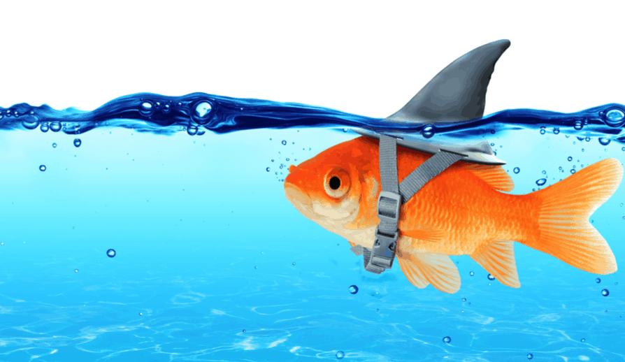 5 ways online retailers can create their own ‘Amazon Effect’