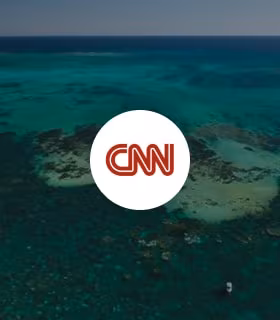 logo panel cnn-min